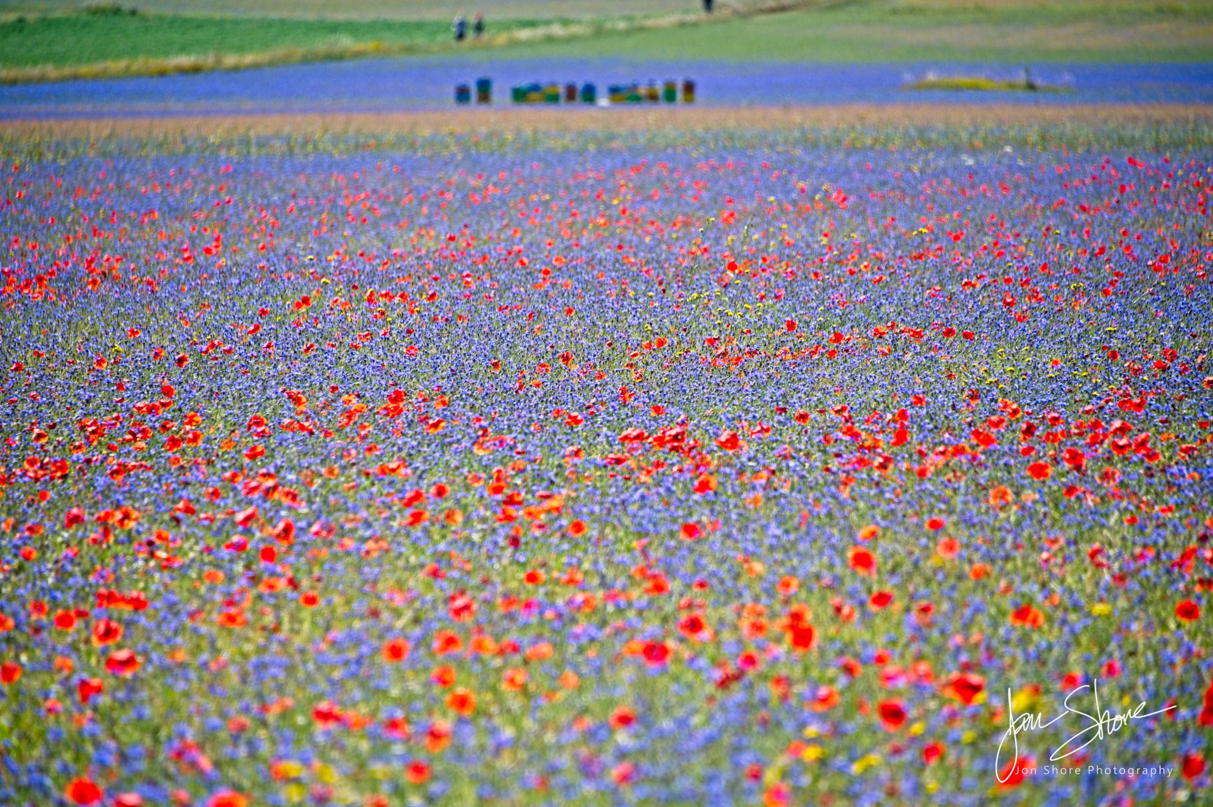 Castelluccio