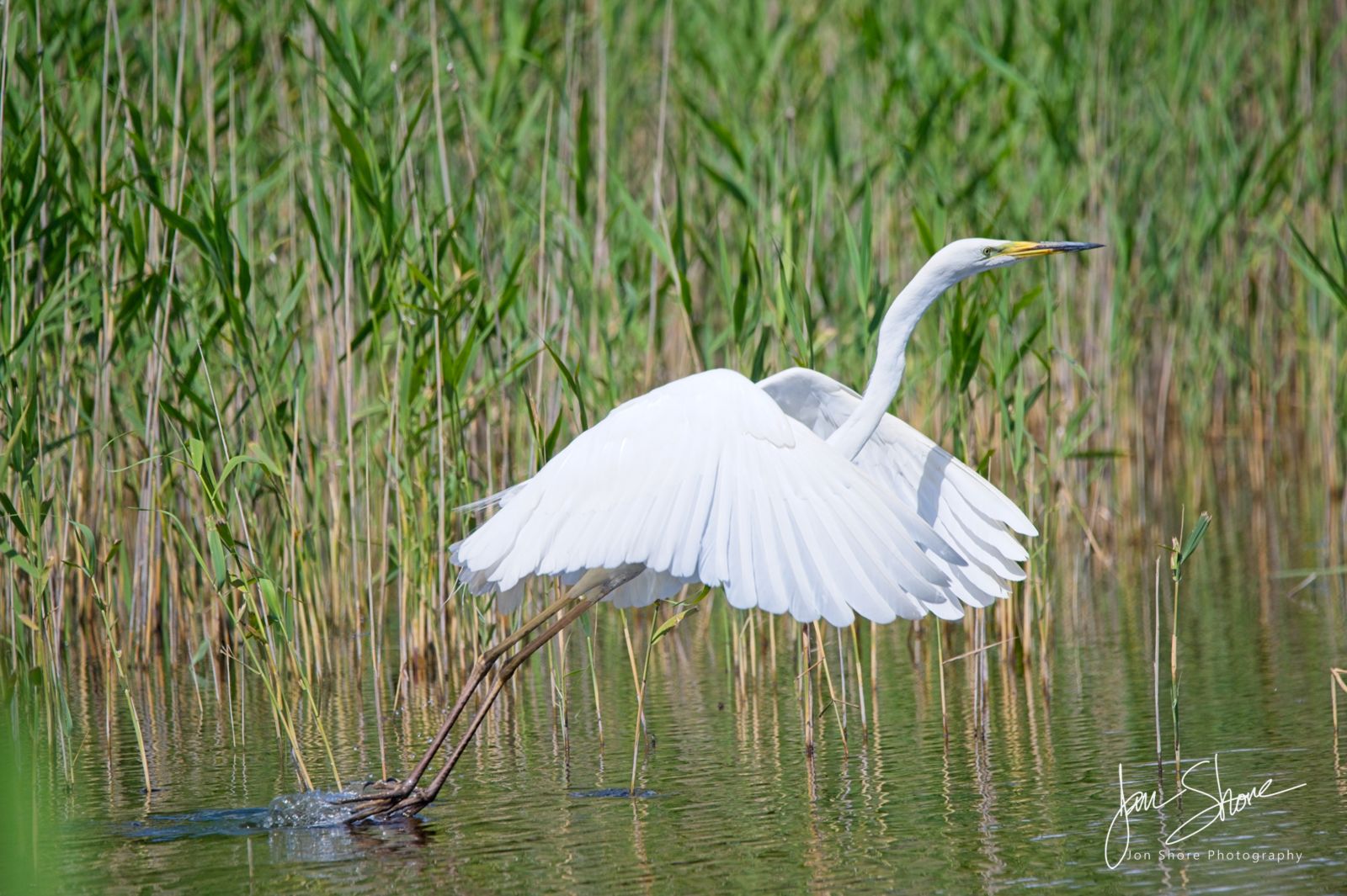 Kemeri National Park Latvia June 2025 by Jon Shore